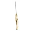 Ramirez Type Endoscopic Facelift 22.5cm