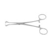 Babcock Tissue Holding Forceps