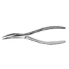 American Pattern Forceps Roots