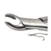 Dental American Pattern Forceps Upper Molars