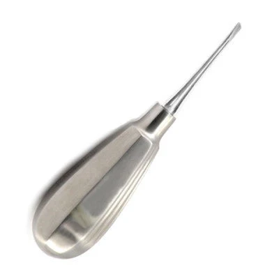 small-straight-chisel-edged-elevator-veterinary-surgical-instrument-2
