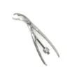 Verbrugge Bone Holding Forceps Large and Small